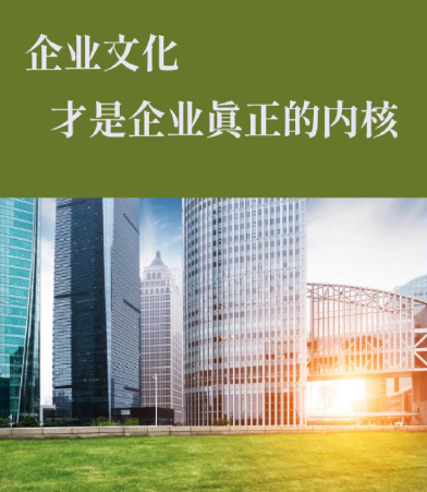 品牌视觉设计与短视频拍摄一体化服务方案解读